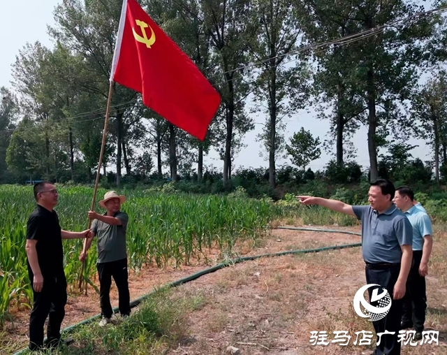  西平縣委書記侯公濤深入部分鄉(xiāng)鎮(zhèn)一線調(diào)研抗旱保秋工作