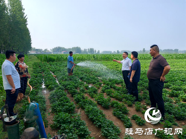 平輿縣李屯鎮(zhèn)：同心抗旱保秋糧 農田“解渴”助豐收