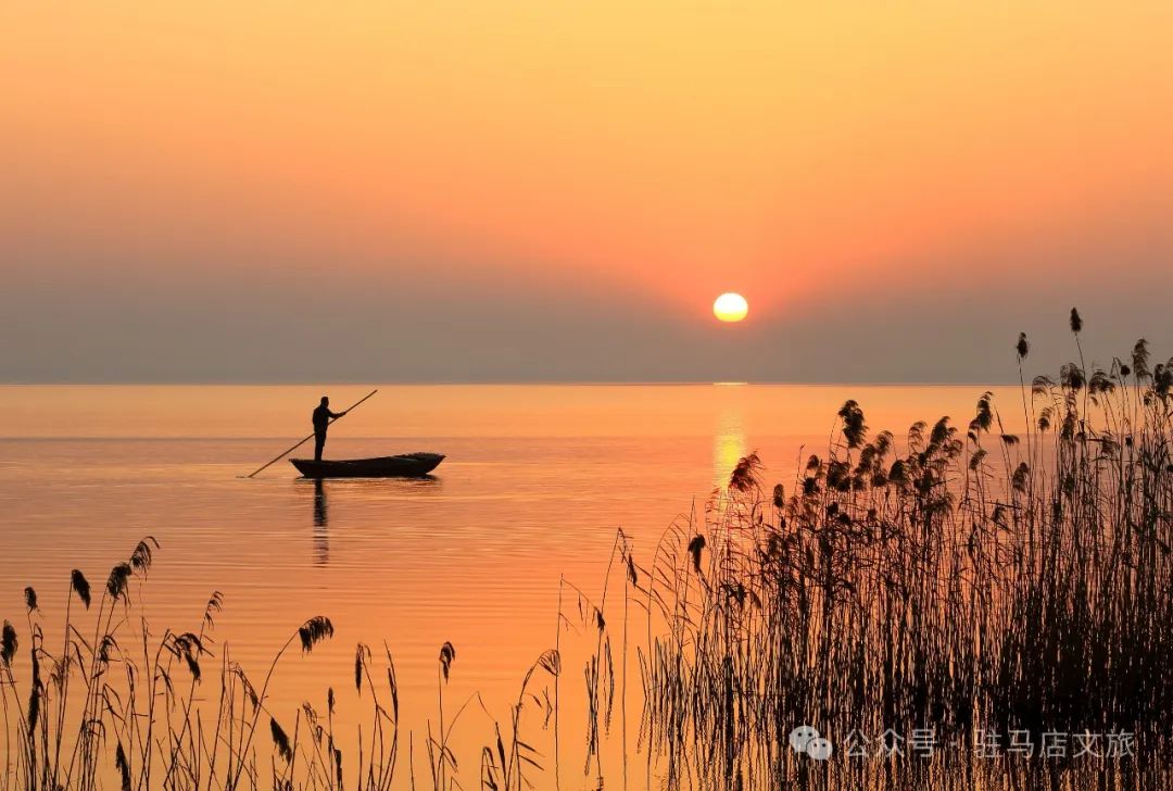 暑期親子游好去處：駐馬店宿鴨湖，與孩子共赴自然之約！