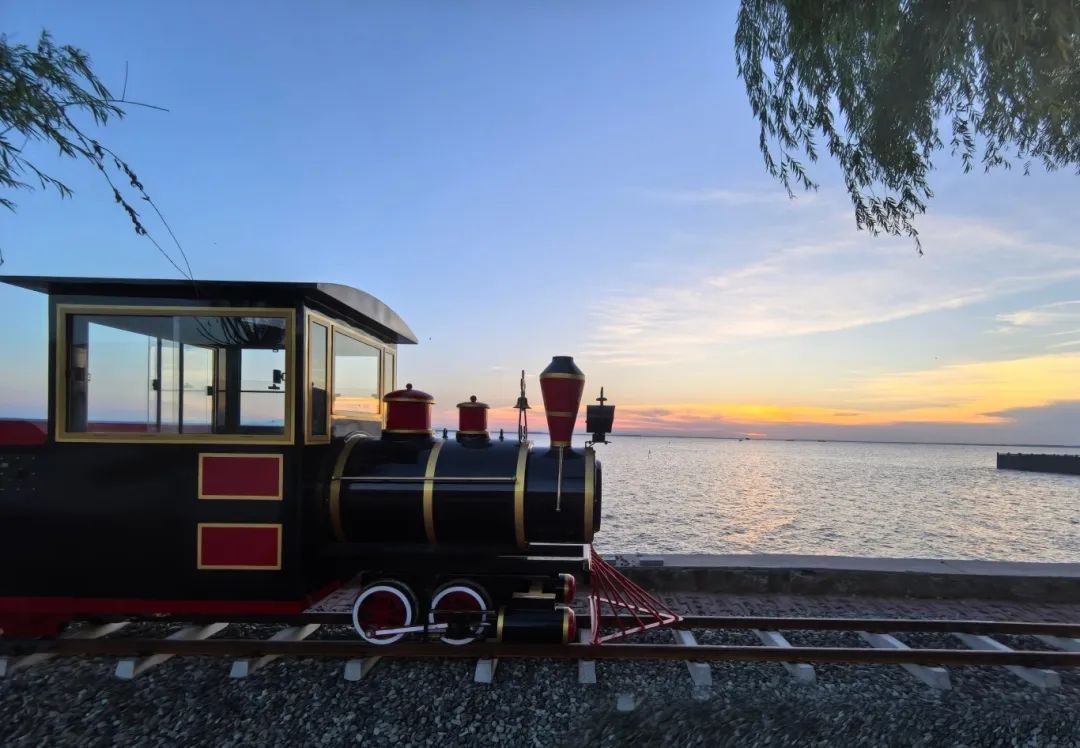 暑期親子游好去處：駐馬店宿鴨湖，與孩子共赴自然之約！