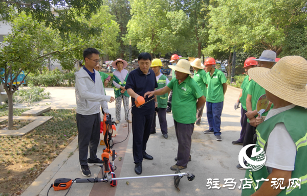  西平縣城管局園林綠化中心開展夏季苗木抗高溫養(yǎng)護培訓