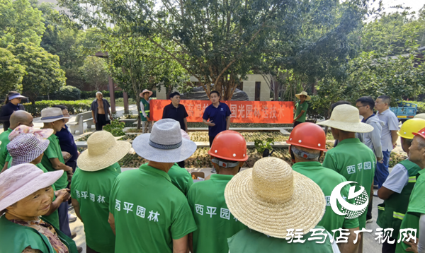  西平縣城管局園林綠化中心開展夏季苗木抗高溫養(yǎng)護培訓