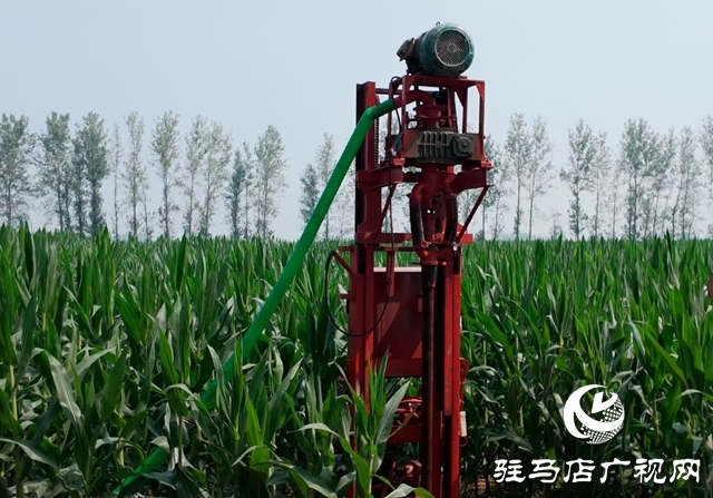 西平縣委書記侯公濤深入部分鄉(xiāng)鎮(zhèn)一線調(diào)研抗旱保秋工作