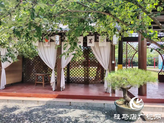 泌陽首屆“和園杯”少兒象棋賽啟動