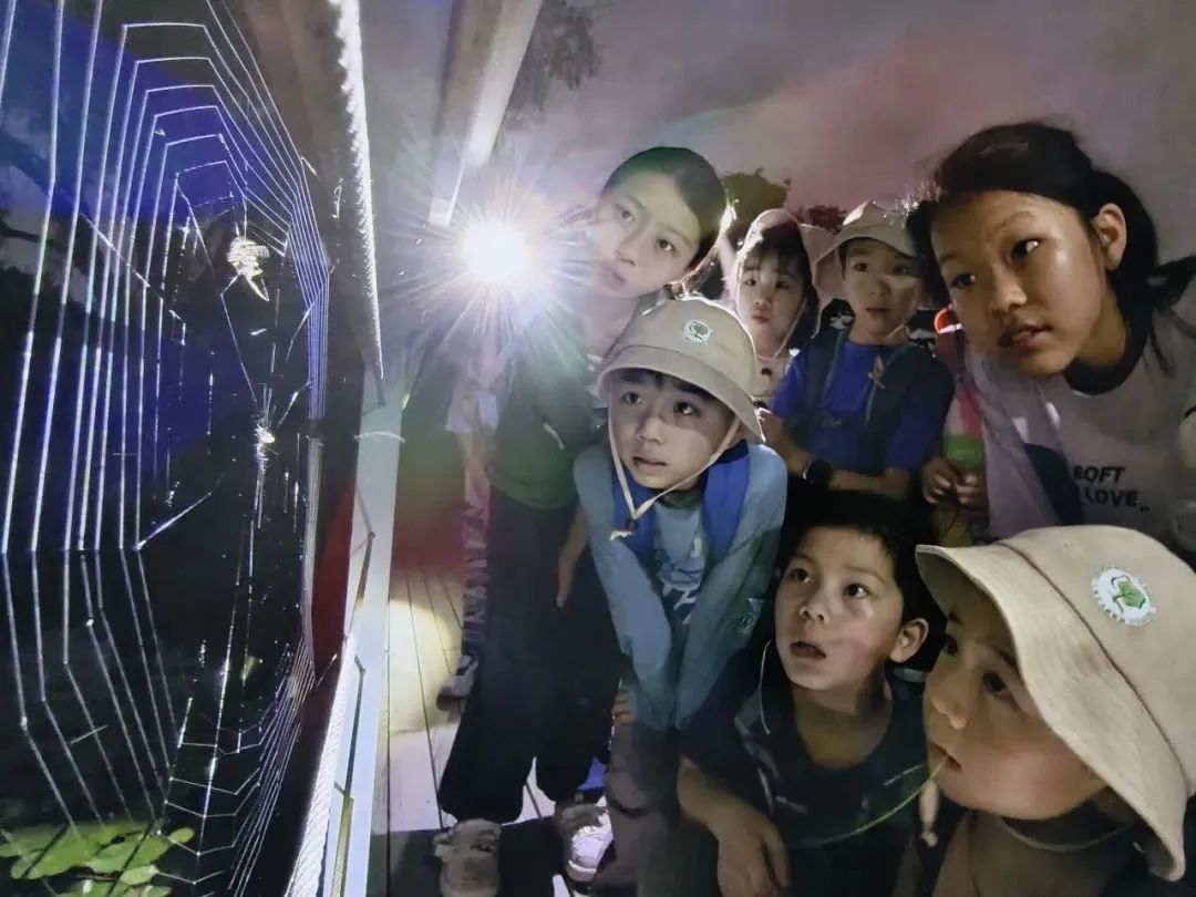 白天賞文物，夜晚追星河！這些活動(dòng)讓親子時(shí)光更有料