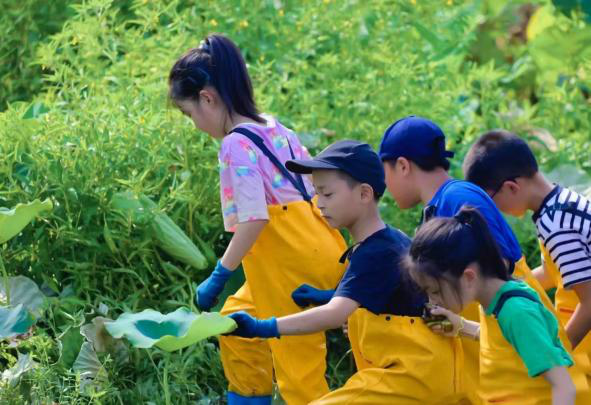 白天賞文物，夜晚追星河！這些活動(dòng)讓親子時(shí)光更有料