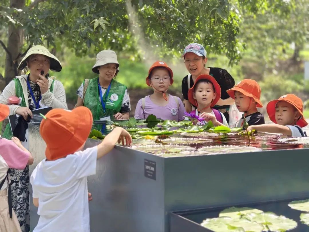 白天賞文物，夜晚追星河！這些活動(dòng)讓親子時(shí)光更有料