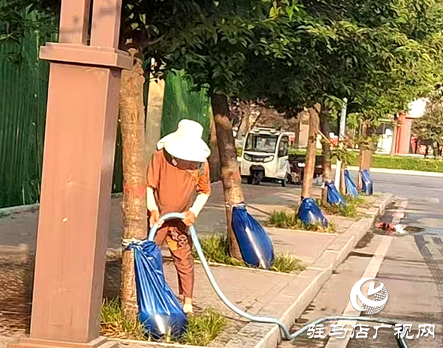 確山縣住建局：2000個(gè)“抗旱保綠神器”上崗
