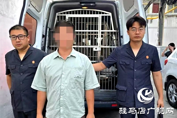 平輿縣人民法院：心存僥幸拒還款 拘傳施壓促履行