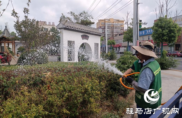 驛城區(qū)：抗旱澆水不停歇 精灌細護保綠忙