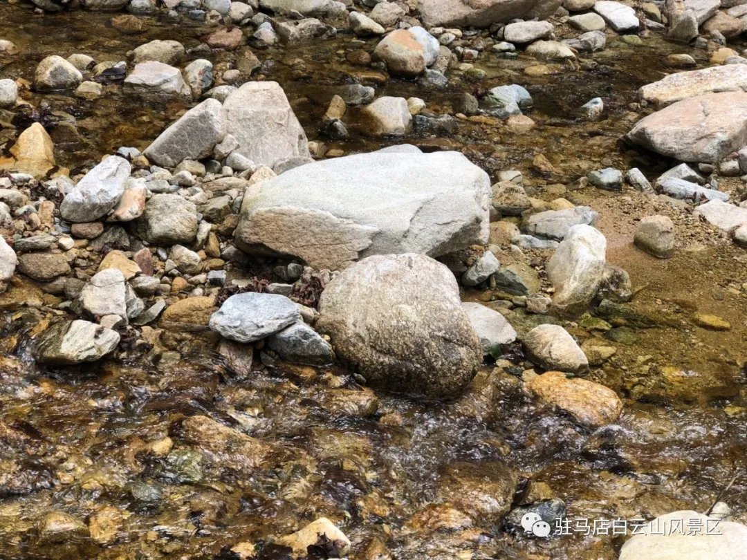 躲進(jìn)小溪的夏天，娃追著小魚，我追著娃~