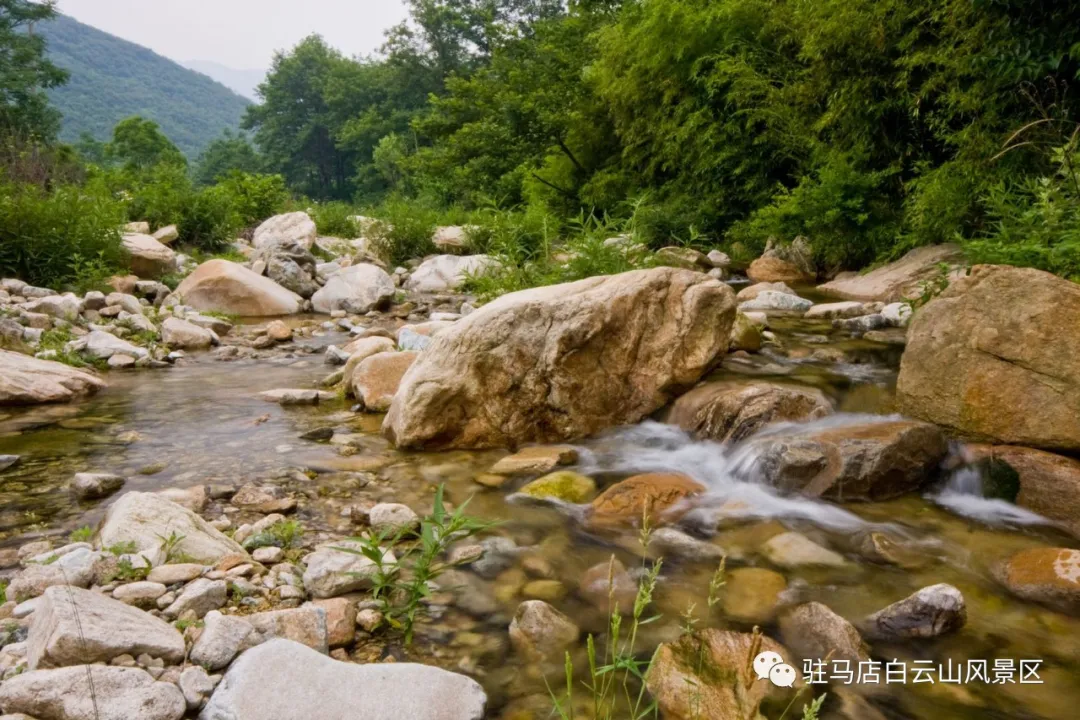 躲進(jìn)小溪的夏天，娃追著小魚，我追著娃~