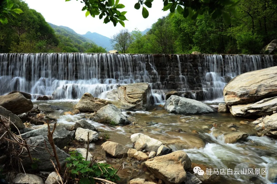 躲進(jìn)小溪的夏天，娃追著小魚，我追著娃~