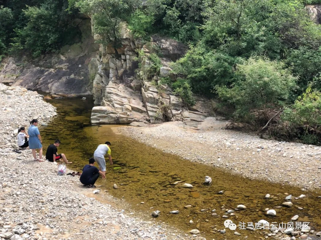 躲進(jìn)小溪的夏天，娃追著小魚，我追著娃~