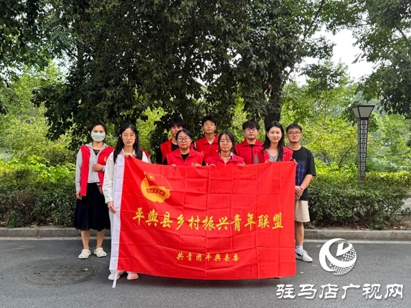共青團平輿縣委“青春奮斗新時代·暑期實踐展風(fēng)采”系列活動（一）