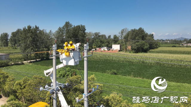 國網確山縣供電公司：進行帶電接火作業(yè) 確保線路不停電