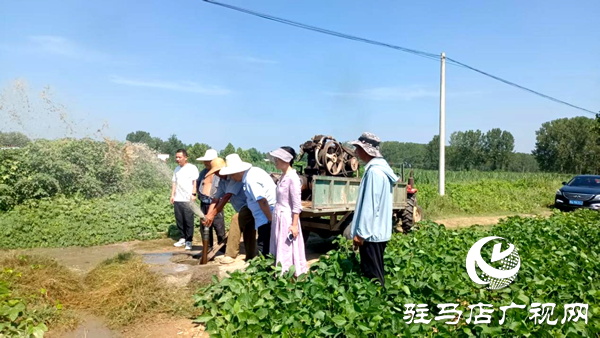 平輿縣老王崗鄉(xiāng)：干群同心抗旱保秋 為秋糧豐收“保駕護航”