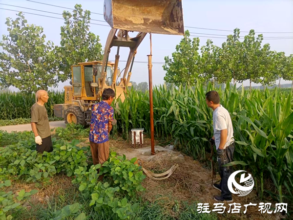 平輿縣老王崗鄉(xiāng)：干群同心抗旱保秋 為秋糧豐收“保駕護航”