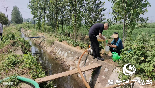 駐馬店市驛城區(qū)沙河店鎮(zhèn)：抗旱保苗齊努力 澆水潤田共擔(dān)當(dāng)