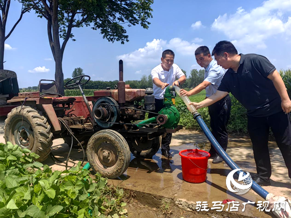 平輿縣李屯鎮(zhèn)：一線抗旱保秋糧 保水解憂穩(wěn)民生