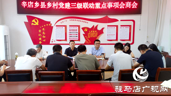 平輿縣辛店鄉(xiāng)：一線督導(dǎo)解難題，三級(jí)聯(lián)動(dòng)強(qiáng)攻堅(jiān)