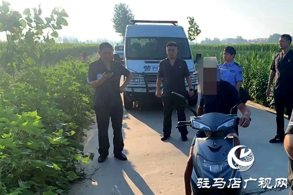 平輿縣人民法院：火力全開，不懼“烤”驗(yàn)再出發(fā)！
