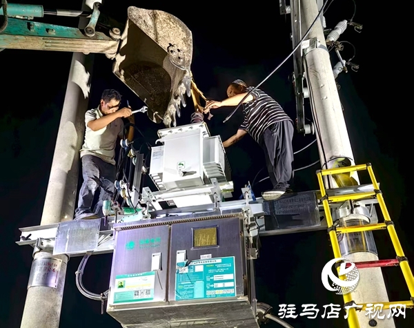 平輿縣干群合力打好抗旱保秋攻堅戰(zhàn) 