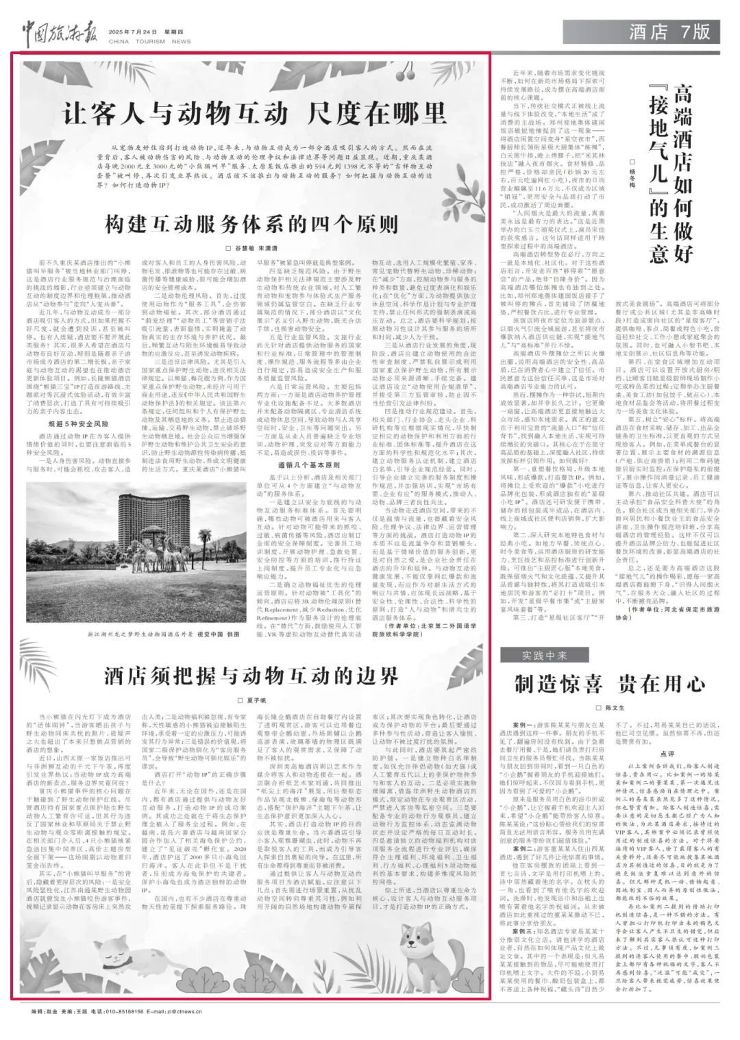 什么才是打造動(dòng)物IP的正確方式？