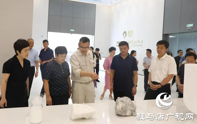 駐馬店職業(yè)技術(shù)學(xué)院校長宋華民帶隊(duì)開展“訪企拓崗”專項(xiàng)行動(dòng)