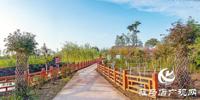 正陽縣彭橋鄉(xiāng)大劉村：“五星”創(chuàng)建引領 賦能鄉(xiāng)村全面振興
