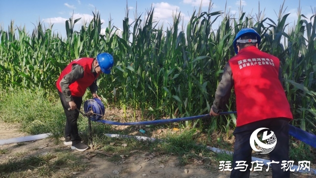 國網(wǎng)駐馬店供電公司：黨員先鋒在一線 抗旱保秋護(hù)民生