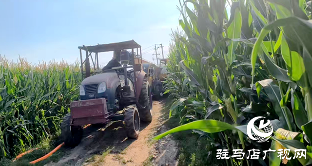 與時間賽跑！大余莊社區(qū)爭分奪秒修井保玉米灌溉