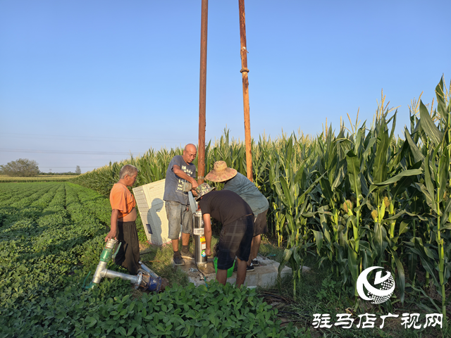 與時間賽跑！大余莊社區(qū)爭分奪秒修井保玉米灌溉