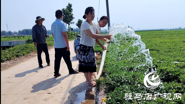 平輿縣辛店鄉(xiāng)：志愿先鋒沖在前 抗旱保收護民生