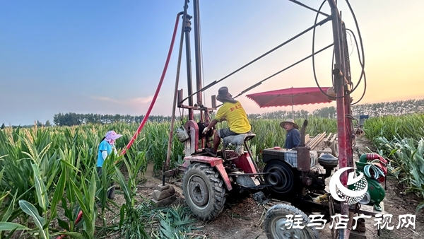 平輿縣高楊店鎮(zhèn)：干群同心齊打井 眾籌合力保秋收