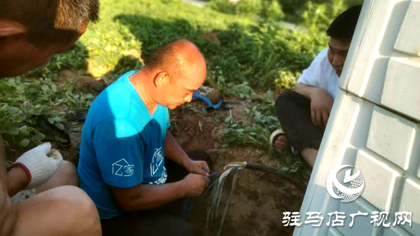 平輿縣辛店鄉(xiāng)：志愿先鋒沖在前 抗旱保收護(hù)民生