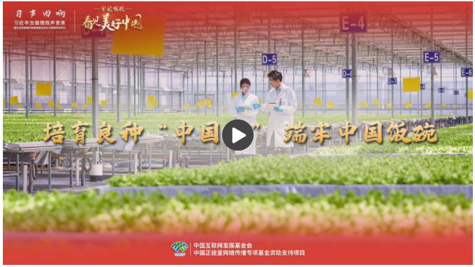 【牢記囑托·看見美好中國(guó)】培育良種“中國(guó)芯” 端牢中國(guó)飯碗