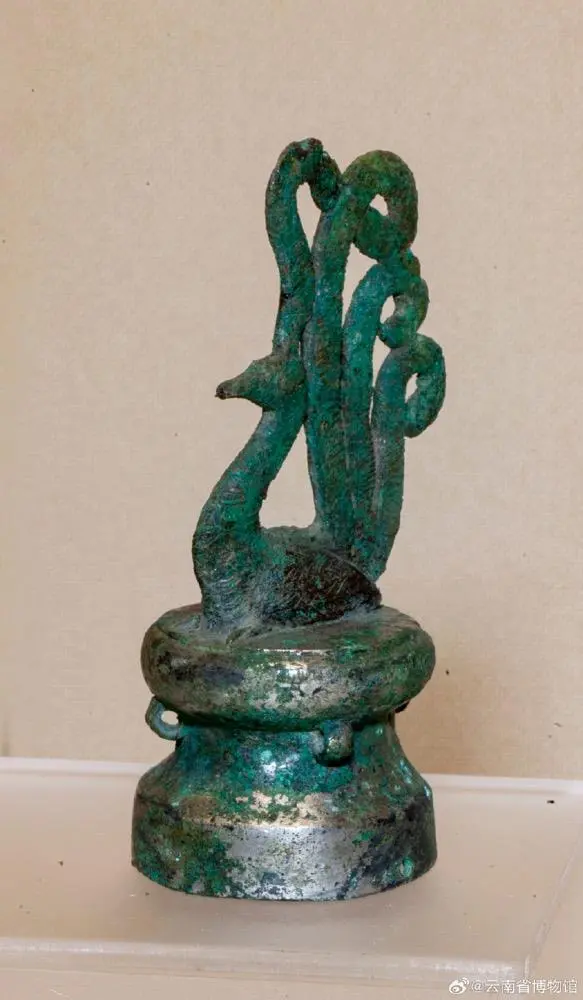 華美端莊，2000多年前它就是“百鳥之王”