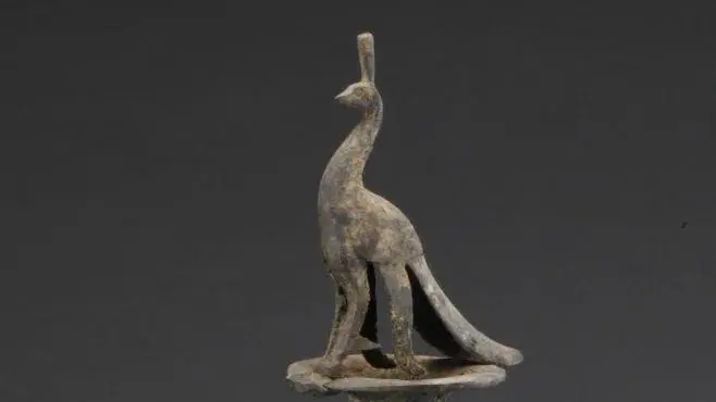 華美端莊，2000多年前它就是“百鳥之王”