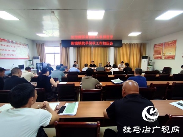 平輿縣陽城鎮(zhèn)：抗旱保秋再加壓，攻堅沖刺保秋糧
