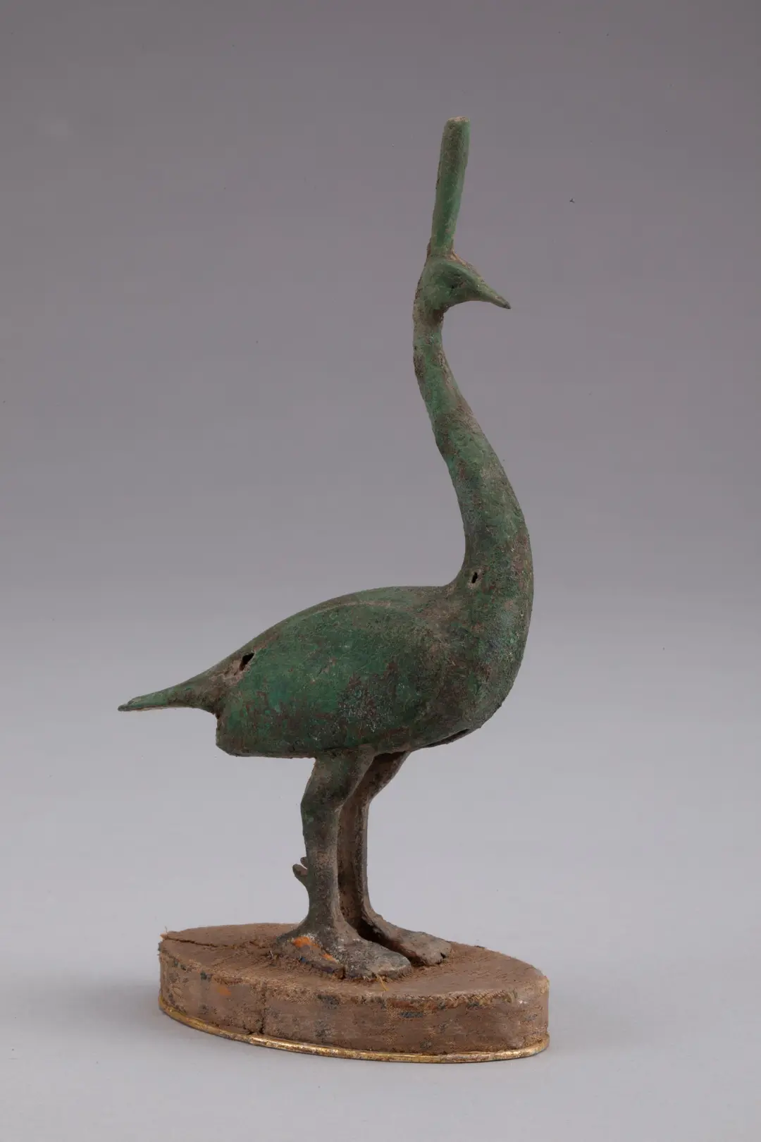華美端莊，2000多年前它就是“百鳥之王”