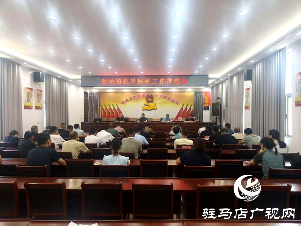 平輿縣射橋鎮(zhèn)召開抗旱保秋工作推進會