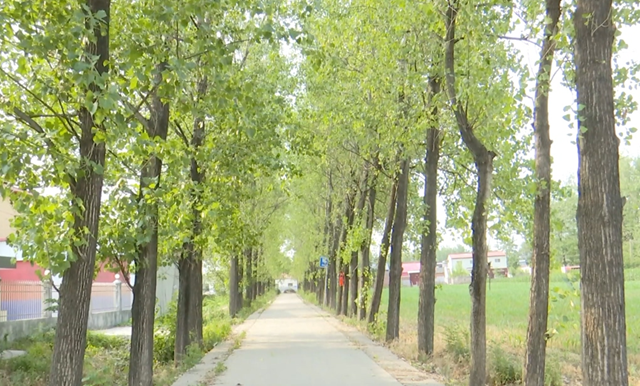 驛城區(qū)朱古洞村：文明生態(tài)村建設鋪就鄉(xiāng)村振興路