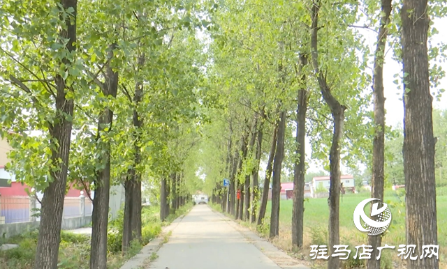 驛城區(qū)朱古洞村：文明生態(tài)村建設(shè)鋪就鄉(xiāng)村振興路