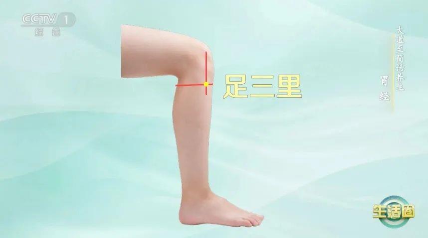 立秋如何養(yǎng)肺？怎么吃更健康？換季養(yǎng)生小貼士請(qǐng)查收