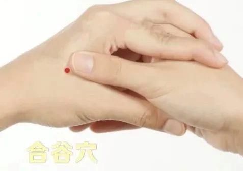 立秋如何養(yǎng)肺？怎么吃更健康？換季養(yǎng)生小貼士請(qǐng)查收