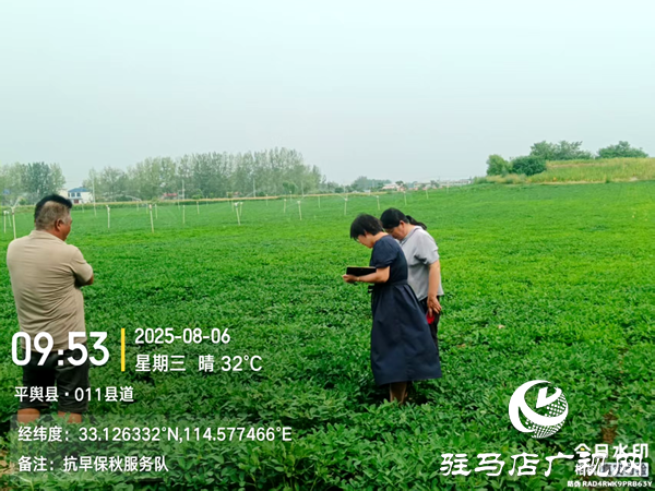 平輿縣射橋鎮(zhèn)：專家下鄉(xiāng)傳農(nóng)技 科學防治保豐收