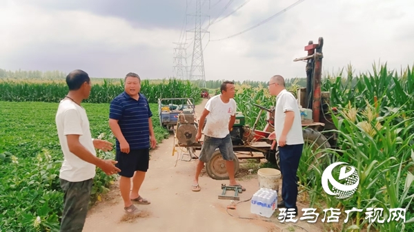平輿縣陽(yáng)城鎮(zhèn)：黨群同心戰(zhàn)旱情 實(shí)干擔(dān)當(dāng)保秋收