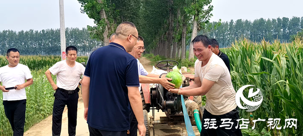平輿縣中等職業(yè)學(xué)校助力“抗旱保秋”，守護(hù)群眾“糧袋子”