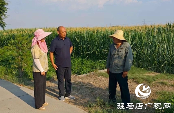  西平縣蘆廟鄉(xiāng)：干群合力 抗旱給力
